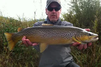 Brown trout fishing in Montana
