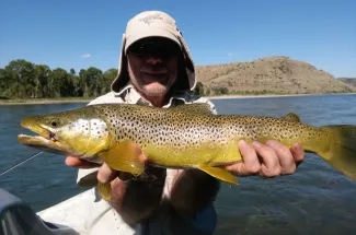 Fly fishing for trophy browns