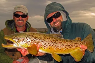 Fly fishing for trophy brown trout in Montana