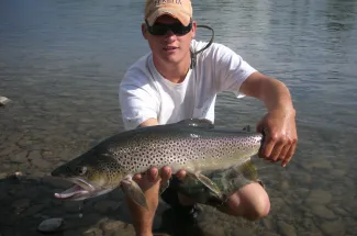 Chrome bright brown trout