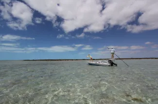 In search of bonefish