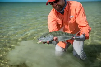 Bonefish in the Bahamas