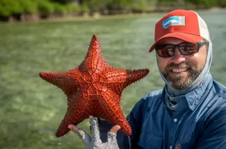 Giant starfish on the flats of the Bahamas