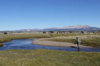 Spring creek fishing near Balmaceda