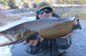 Large Brown trout from the Land of Giants