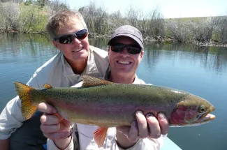 Rainbow trout caught on a guide trip