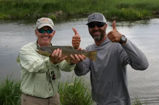 Nice brown trout