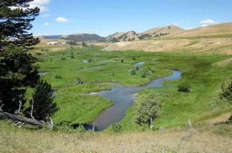 Montana spring creek