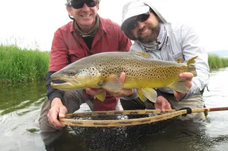 Beautiful Montana brown trout