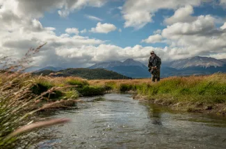 Small stream spring creek fishing near Rio Pico