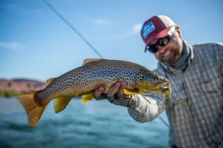 A stock brown from the Rio Limay