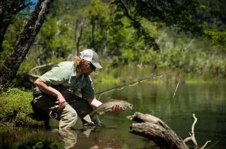 MA guide Bill Buchbauer with a nice spring creek rainbow in Los Alerces National Park