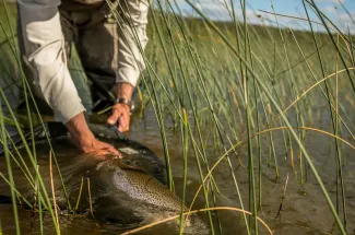 A decent Lago Tres rainbow near Rio Pico