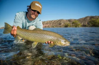 A beautiful Limay River Brown Trout