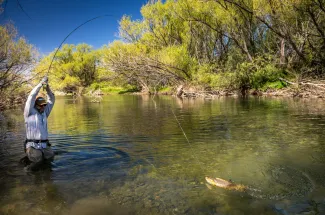 Fishing side channels of the Collon Cura