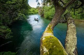 Floating in Los Alerces National Park