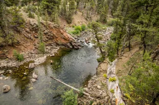 Yellowstone National Park Hell Roaring Creek near the Yellowstone river