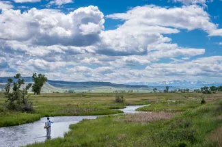 Private access fishing on a spring creek