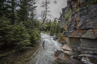 Montana flyfishing 