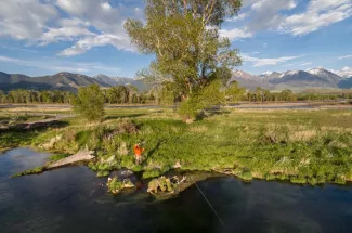 Spring Creek access near Livingston