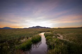 Spring creek fishing in Montana