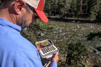 Selecting the right fly on the Gallatin River