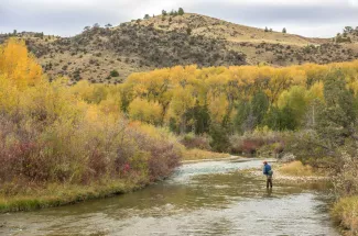 Ruby river fishing trips 