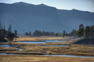 YNP - Upper Madison River