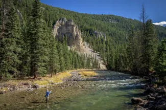 Wading the Gallatin River