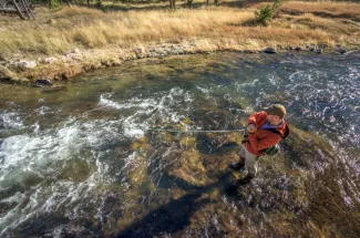 Fly Fishing on the Gibbon River