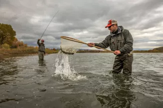 Success on the Yellowstone River
