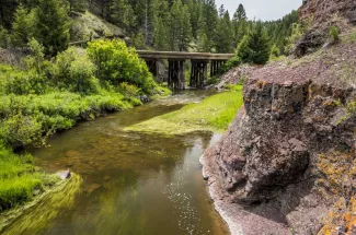 Fishing on a private creek