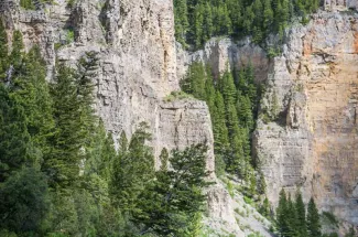 Fly fishing and camping on the Smith River