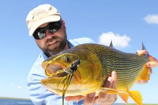 golden dorado fly fishing