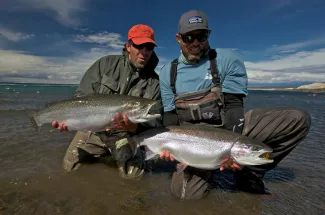 Giant Rainbow Trout