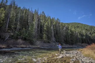 Gallatin River fly fishing trips