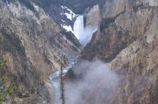 fly fishing yellowstone river