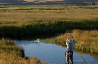 montana fly fishing
