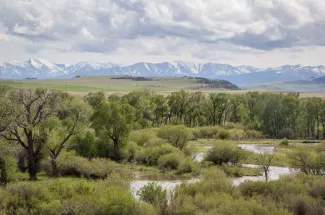 Fishing Montana's Musselshell River