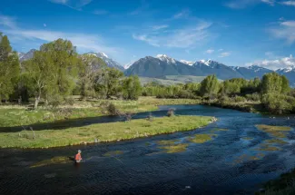 Long, technical casting is often required to fool Armstrong's cagey trout