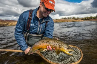 Fly Fishing in Yellowstone National Park - Brown Trout