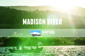 Madison River fly fishing video