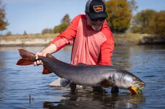 Mongolia Taimen Fly Fishing