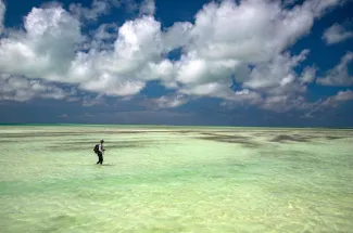 Christmas island fishing lodge wading flats