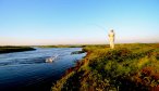 dorado fly fishing