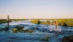 guided fly fishing