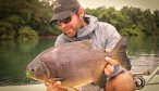 fly fishing for Pacu