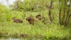 Iber wetlands fly fishing