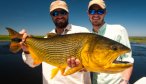 big dorado