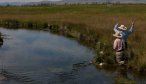 Montana Angler, Montana Fly Fishing